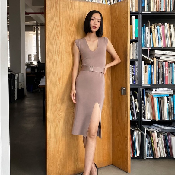 Aritzia Dresses & Skirts - Aritzia Delmaro Dress Mauve M NWT